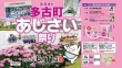 多古町 あじさい祭り開催のお知らせ