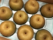 “今が旬” 一の宮産 「梨」 店頭販売開始!