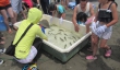 山の日イベント in 白里海岸