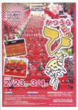 2018 かつうらビッグひな祭り