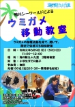 海の駅にてウミガメとふれあいイベント開催!!
