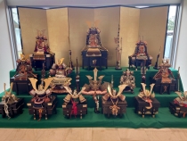 端午の節句　五月人形の展示を始めました！