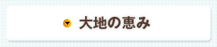 大地の恵み