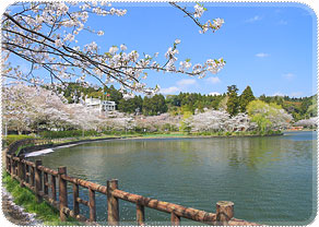 画像:東金八鶴湖